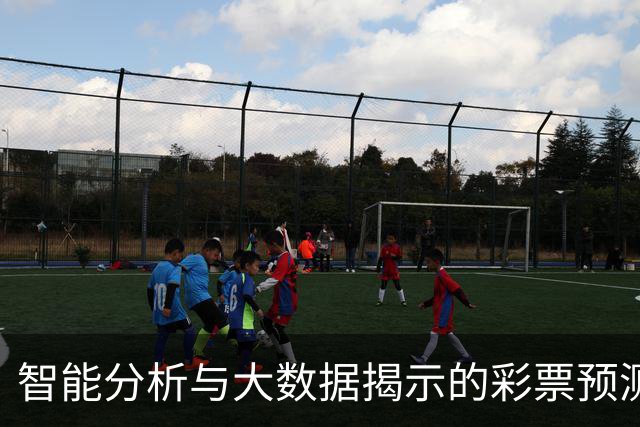 智能分析与大数据揭示的彩票预测新趋势